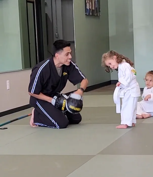 Premier Martial Arts River Oaks Picture 2