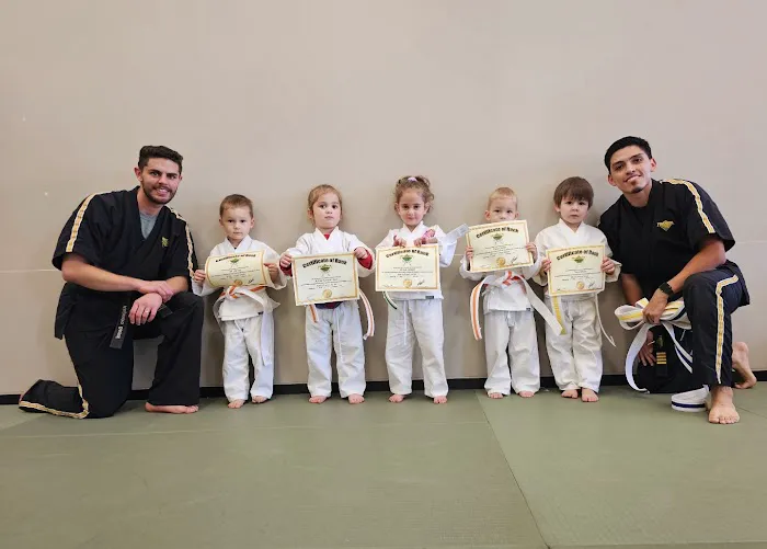 Premier Martial Arts River Oaks Picture 3