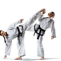 Mungu Martial Arts ico