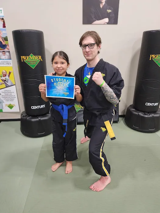 Premier Martial Arts Houston Heights Picture 1