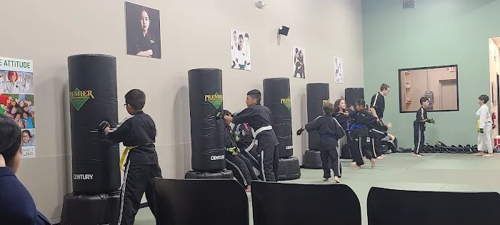 Premier Martial Arts Houston Heights Picture 3