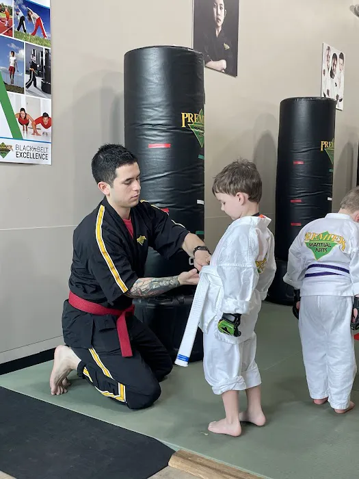 Premier Martial Arts Houston Heights Picture 4