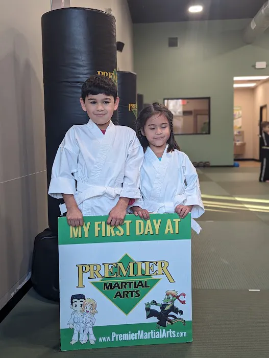 Premier Martial Arts Houston Heights Picture 5