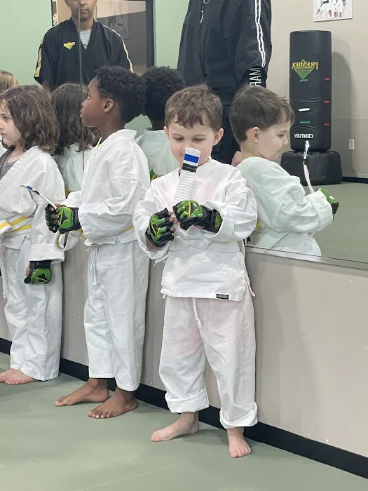 Premier Martial Arts Houston Heights Picture 6