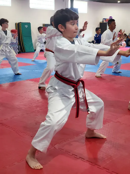 BODHI-DHARMA TAEKWONDO Picture 5