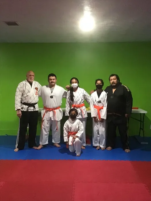 BODHI-DHARMA TAEKWONDO Picture 4