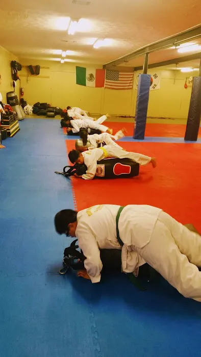 BODHI-DHARMA TAEKWONDO Picture 8