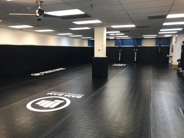 Bam Bam Martial Arts Houston Picture 2