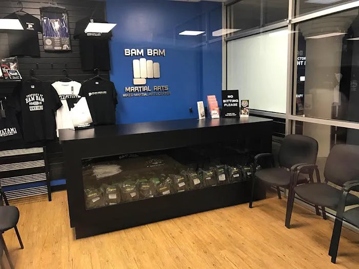 Bam Bam Martial Arts Houston Picture 7