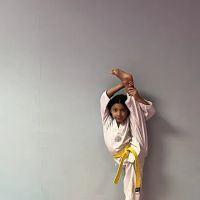 Victorious Martial Arts Academy ico