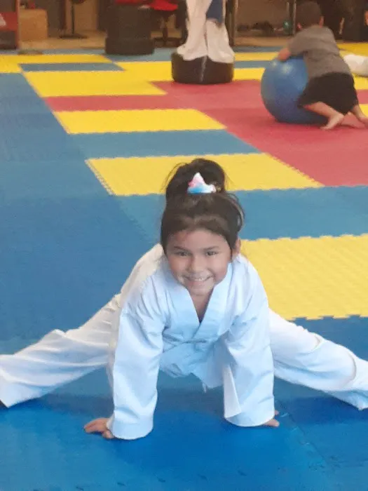 Victorious Martial Arts Academy Picture 8