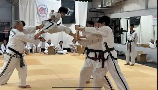 Young Brothers Taekwondo Picture 5