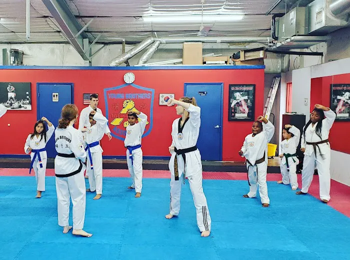 Young Brothers Taekwondo Picture 1