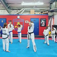 Young Brothers Taekwondo ico