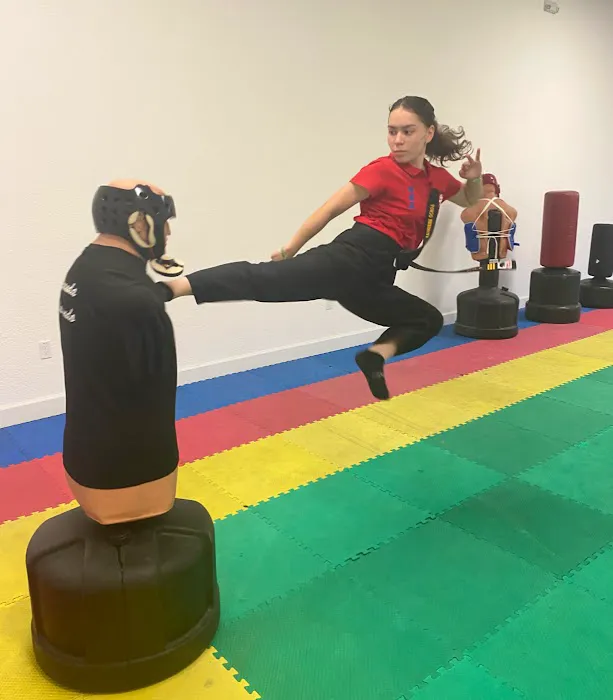 Miranda’s Taekwondo Fitness Center Picture 7