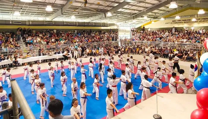 Flying Dragon College of Taekwon-do Picture 1