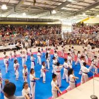 Flying Dragon College of Taekwon-do ico