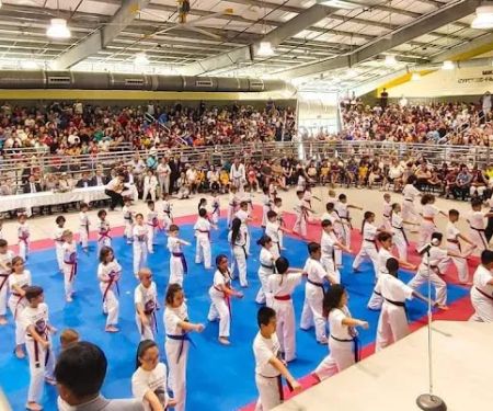 Flying Dragon College of Taekwon-do