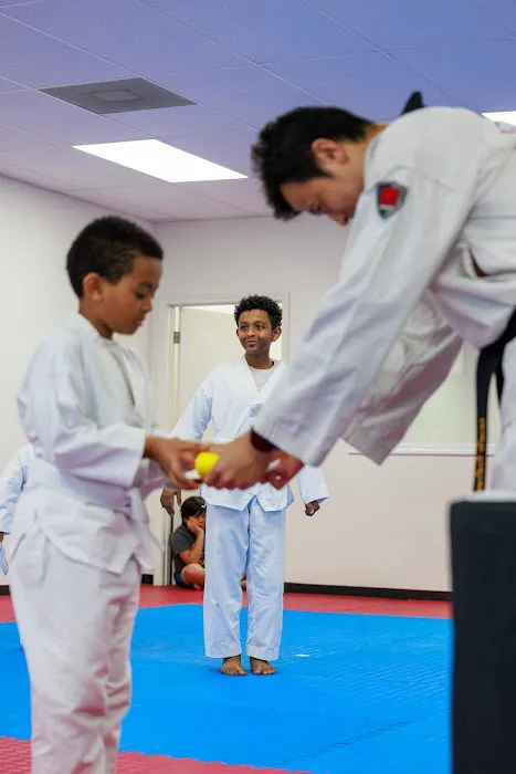 Kim's Olympic Tae Kwon Do Academy Picture 4
