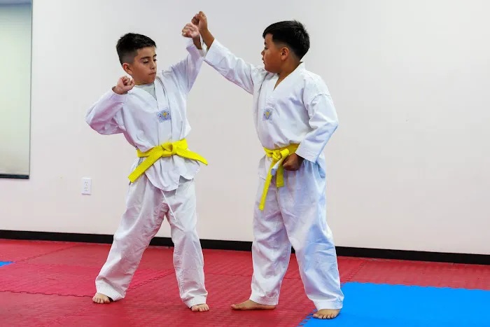 Kim's Olympic Tae Kwon Do Academy Picture 6