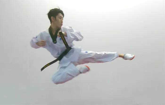 Kim's Olympic Tae Kwon Do Academy Picture 8