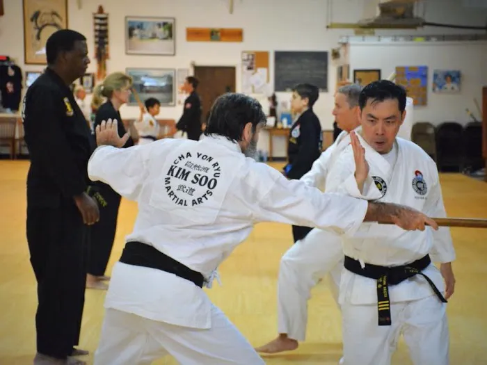 Kim Soo Karate, Inc. Picture 3