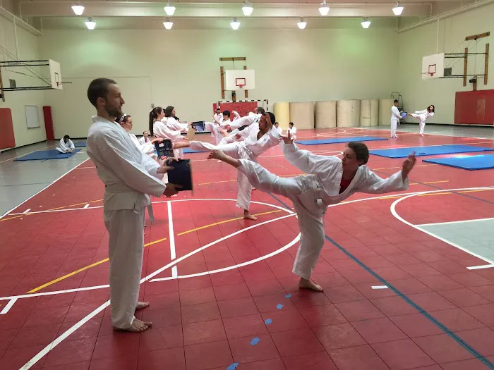 Kim Soo Karate, Inc. Picture 5