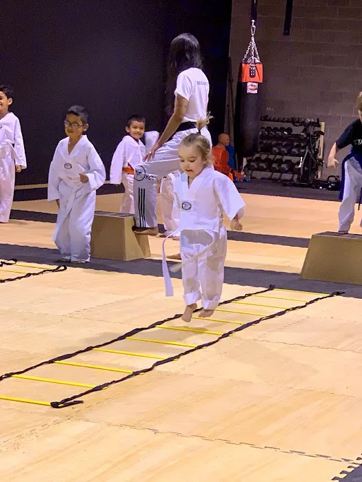 The Houston Center for Taekwondo Picture 8