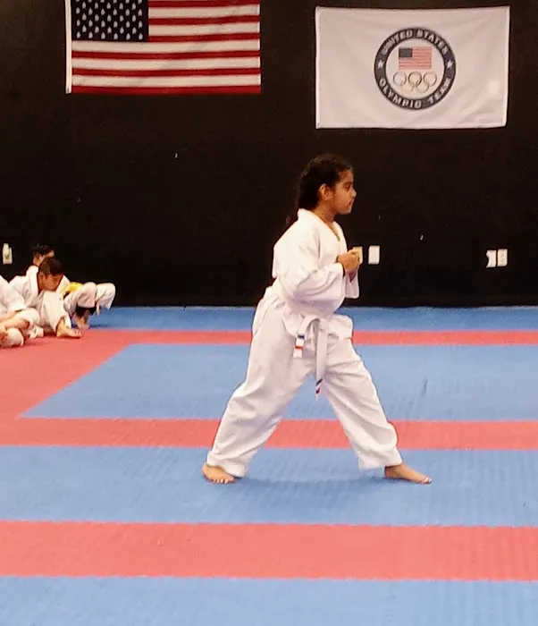 The Houston Center for Taekwondo Picture 4