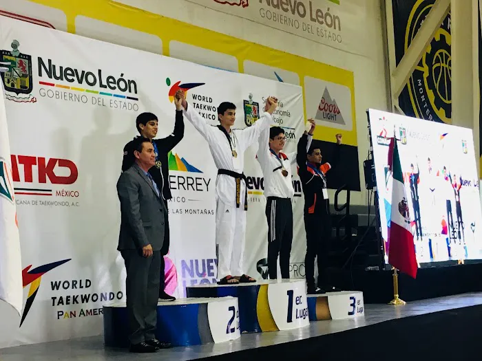 The Houston Center for Taekwondo Picture 6