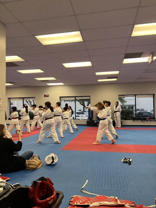 The Houston Center for Taekwondo Picture 3