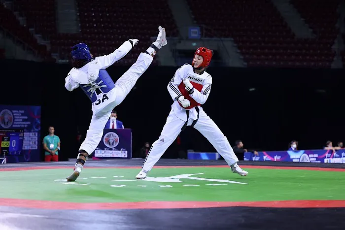 The Houston Center for Taekwondo Picture 7