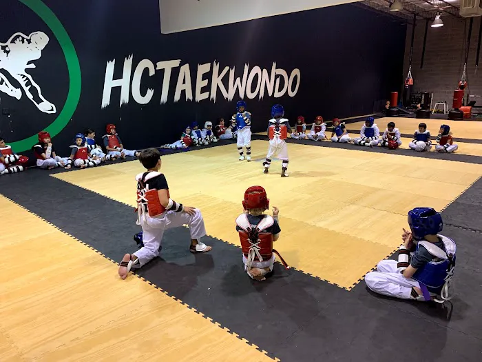 The Houston Center for Taekwondo Picture 5