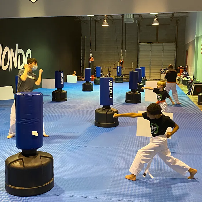 The Houston Center for Taekwondo Picture 10