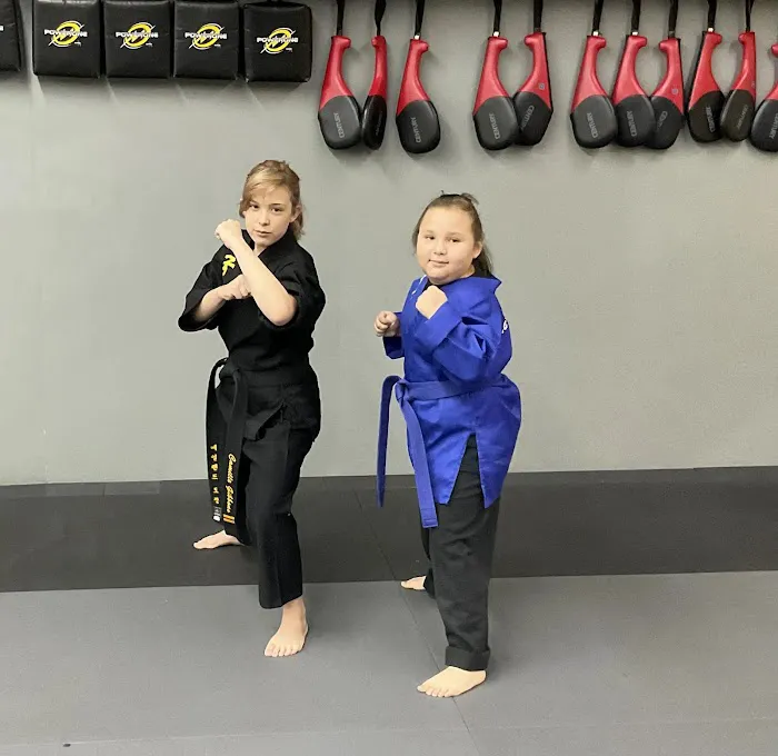 Meyerland Martial Arts Picture 2
