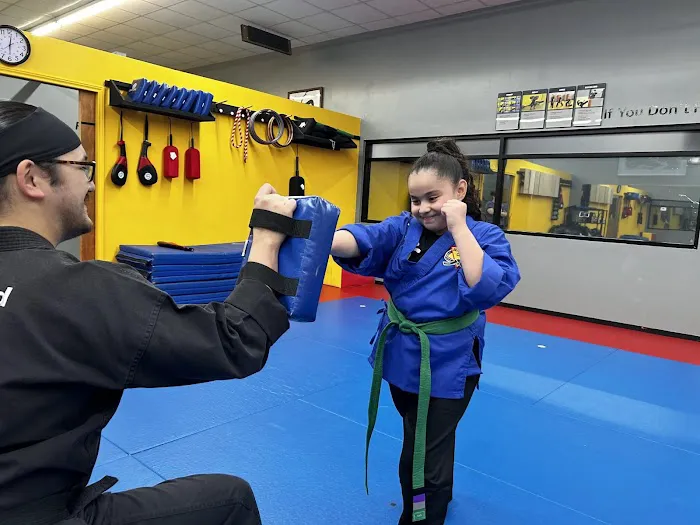 Meyerland Martial Arts Picture 1