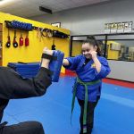 Meyerland Martial Arts