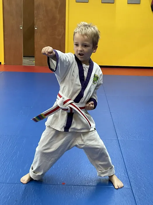 Meyerland Martial Arts Picture 9