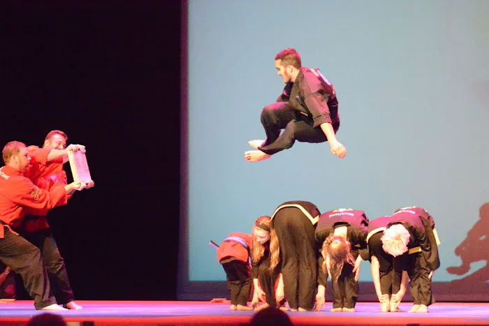 Meyerland Martial Arts Picture 8