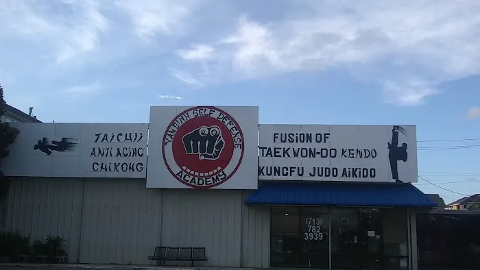 Van Binh Self Defense Academy Picture 3