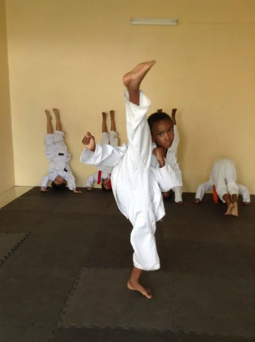 Kyokushin Karate Texas Picture 5