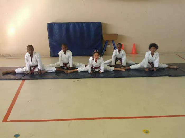 Kyokushin Karate Texas Picture 1