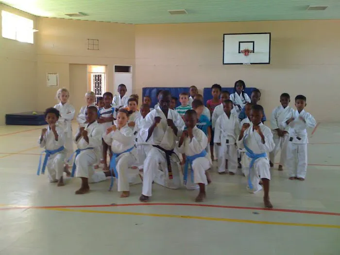 Kyokushin Karate Texas Picture 6
