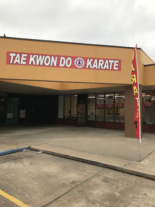 Taekwondo Jidokwan HTX Picture 5
