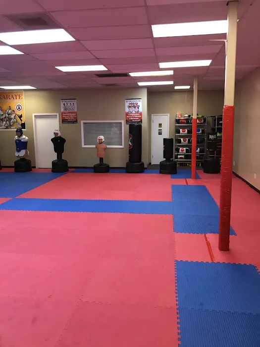Taekwondo Jidokwan HTX Picture 1