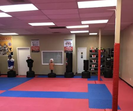 Taekwondo Jidokwan HTX