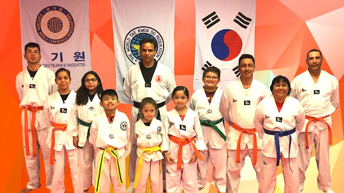 Taekwondo Jidokwan HTX Picture 6