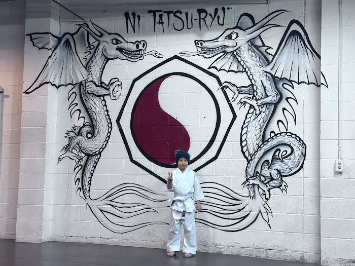 Houston Jujutsu & Kickboxing Academy Picture 9