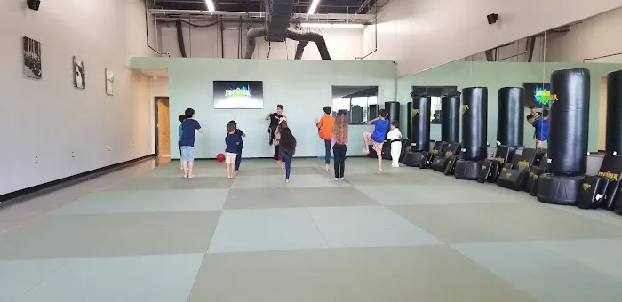 Premier Martial Arts - Shadow Creek - Pearland TX Picture 3