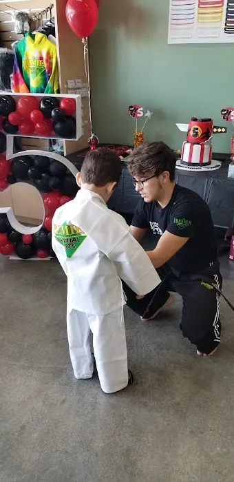 Premier Martial Arts - Shadow Creek - Pearland TX Picture 2